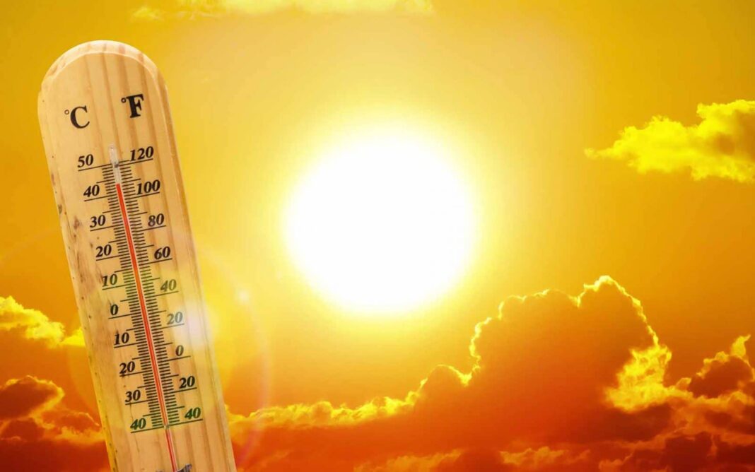 02 - Canicule