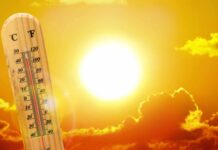 Canicule – L’hôpital Nouar Fadhela d’Oran renforce la continuité de ses soins