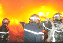Protection civile à Oran – Les soldats de l’ombre qui sauvent des vies au cœur des flammes