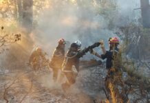 Incendies – Quatre présumés pyromanes écroués