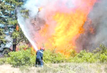 Prévention des incendies – Oran muscle son dispositif de lutte contre les feux de forêt
