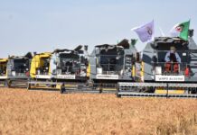 Agriculture – 72 nouveaux conducteurs de moissonneuses-batteuses prêts pour la campagne