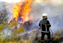 Lutte contre les feux de forêts – La Protection civile met en place une colonne mobile anti-incendie pour la saison estivale