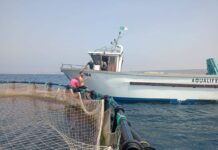 Mostaganem – Un nouvel outil pour le développement de l’aquaculture marine