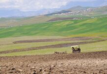 Performance agricole – La production de légumineuses multipliée par sept