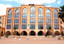 Saida : L’université renforce son offre de formation avec cinq nouvelles spécialités