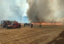 Saida – Les secours mobilisés face à une succession de feux de forêts et de récoltes