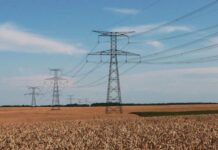 Djanet : Raccordement des zones éloignées et des exploitations agricoles au réseau électrique