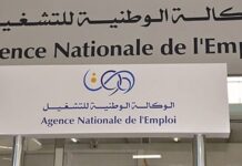 Emploi et numérisation – L’ANEM lance une campagne de sensibilisation sur la plateforme numérique « Insat » dans le Sud