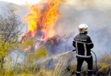 Mascara – Une commission mobilisée pour évaluer les dégâts après les incendies