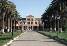 Sidi Bel-Abbès: 50 projets innovants labellisés à l’incubateur universitaire