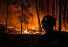 Espagne -32.000 hectares brûlés à 100 km au nord de Madrid
