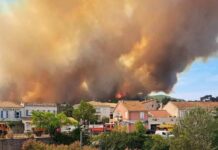 Canicule -Plus de 2.550 hectares incendiés et 500 personnes évacuées dans le sud de la France