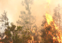 Incendies géants en France et en Espagne – Plus de 300.000 personnes contraintes de fuir