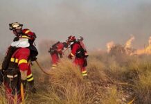Espagne: 19 disparitions dans le violent incendie déclenché près d’Almeria