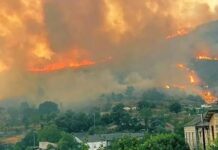 Incendies – L’Espagne demande du renfort à l’UE, la Grèce envoie deux Canadair