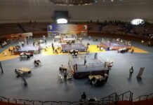 Championnat d’Algérie de Full-Contact – Domination des athlètes de Constantine