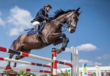 Equitation : coup d’envoi du Grand concours national de saut d’obstacles à Oran
