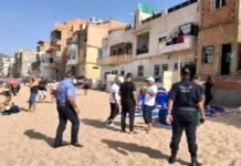 Lutte contre l’occupation illégale des plages à Aïn El Turck: La police saisit 93 chaises, 26 parasols et 29 tables sur la plage des Pins