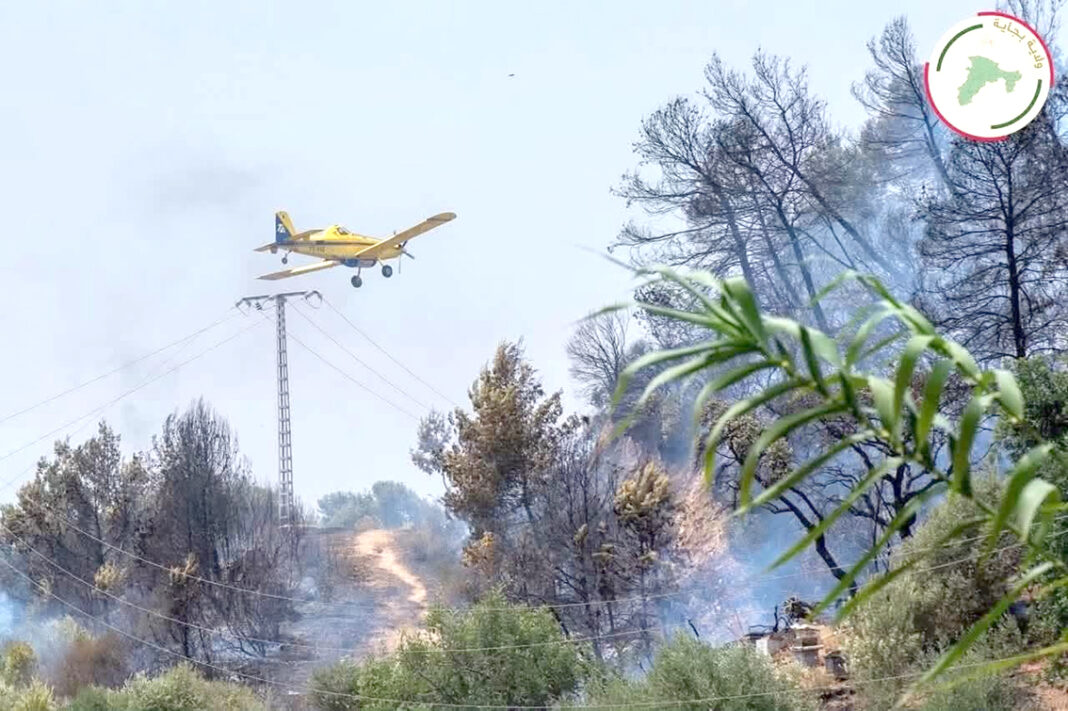 Les opérations d'extinction des incendies se poursuivent