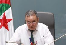 Activité minière et espaces forestiers – Le wali ordonne un examen détaillé des projets d’investissement
