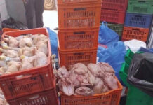 Hygiène alimentaire – Plus de deux tonnes de viandes et d’abats impropres saisies à Bir El Djir