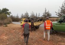 Prévention des feux de forêts à Oran – Les massifs de Misserghine et du Murdjadjo débarrassés de pneus usagés