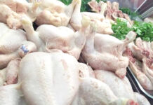 ORVO casse la flambée des prix à Oran – Le poulet importé proposé à 350 DA le kilogramme