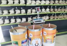 Mostaganem – La première coopérative des céréales et légumes secs voit le jour