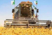 Tissemsilt – Récolte record de plus de 516.000 quintaux de céréales