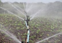 Tissemsilt – 90 agriculteurs équipés en systèmes d’irrigation goutte-à-goutte pour une agriculture durable