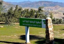 Tissemsilt – 40.000 visiteurs au parc national de Theniet El Had