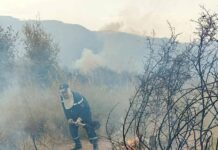 Protection civile – Extinction de 30 incendies sur 43 ces dernières 24 heures