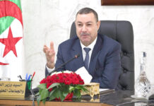 Modernisation du service public – Sayoud accélère la numérisation de l’immatriculation des véhicules