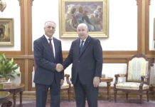 Fraîchement nommé – Le nouveau président de l’ANIE reçu par le président Tebboune