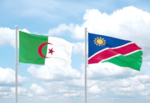 Algérie-Namibie – Vers un renforcement de la coopération minière