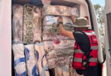 Incendies – Immense élan de solidarité avec les sinistrés