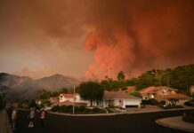 Etats-Unis – Une évacuation annoncée après un incendie de forêt au Nevada
