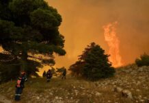 Grèce – Plus de 280 arrestations liées aux incendies depuis début 2026