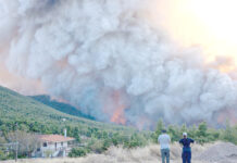 Grèce – Alerte maximale aux incendies de forêt