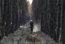 Grèce – Un incendie de forêt force l’évacuation des habitants de l’île de Céphalonie