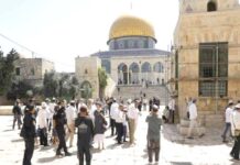 Palestine – Près de 200 colons sionistes prennent d’assaut l’esplanade de la mosquée d’Al-Aqsa