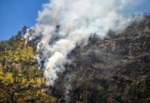 Incendies de forêt en Indonésie – Un parc national fermé à Java