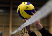 Championnat d’Afrique 2026 – La sélection féminine algérienne se prépare en Égypte