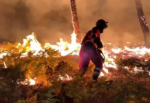 Serbie – Les pompiers luttent contre un immense feu à l’est de Belgrade
