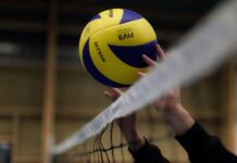 Volley-ball – La FAVB annonce une restructuration globale des sélections nationales