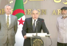 Enlevé par un groupe criminel armé au Niger – L’Algérie remet le ressortissant allemand aux autorités de son pays
