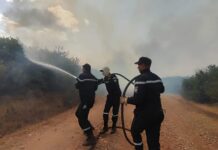 Protection civile – Extinction de 110 incendies sur 174 en 24 heures