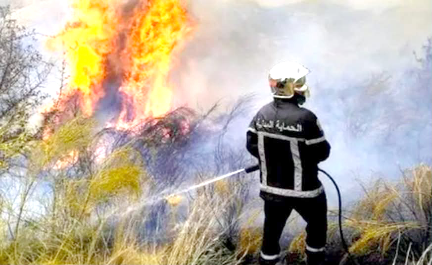 Incendies de forêts