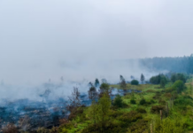 Belgique – Mobilisation maximale pour « encercler définitivement » l’incendie dans l’est du pays